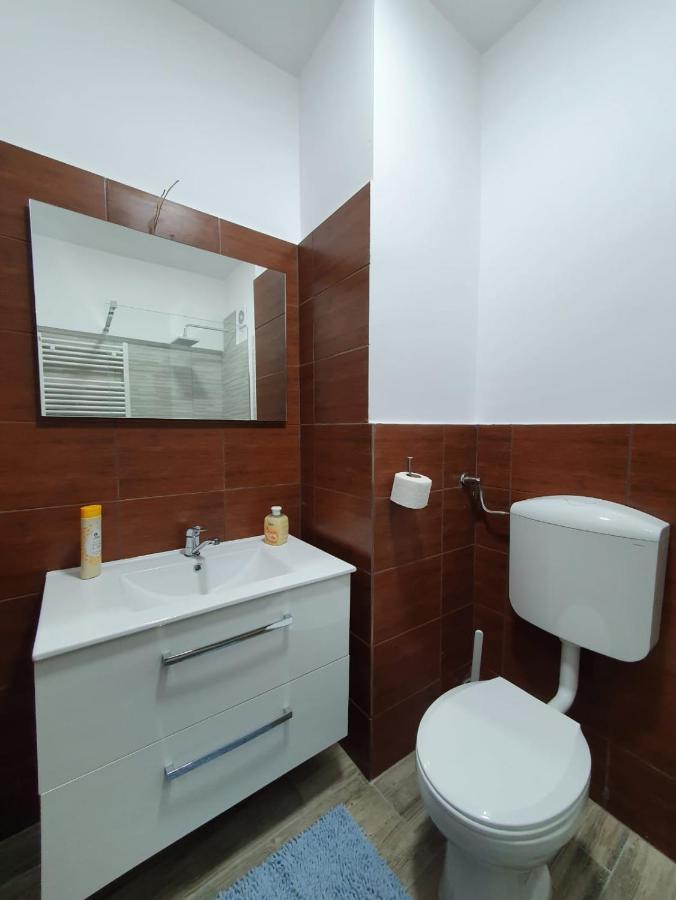Hotel Petroshani srl Petroşani Exterior foto